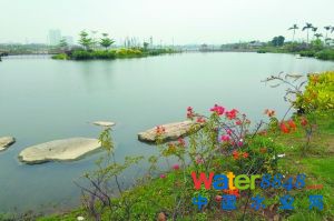 海珠湖治污后水質(zhì)良好。