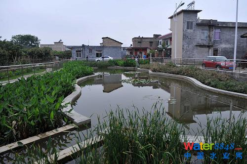 在廣西玉林市玉東新區(qū)茂林鎮(zhèn)金谷村,污水處理設(shè)施不僅改善了環(huán)境,也成了村里一道美麗風(fēng)景(4月10日攝)。 蒼蠅亂飛的臭水溝不見了,池塘的死水變活了,臟亂差的農(nóng)村變美了……廣西積極推進(jìn)農(nóng)村環(huán)境連片整治示范工作,讓越來(lái)越多的農(nóng)村舊貌換新顏。2012年,廣西共有18個(gè)縣500個(gè)村完成了示范整治任務(wù),實(shí)施污水處理設(shè)施487套、生活垃圾收集轉(zhuǎn)運(yùn)設(shè)施設(shè)備1.2226萬(wàn)個(gè)(臺(tái)、套),受益人口180萬(wàn)。今年,廣西計(jì)劃投資5.25億元,在19個(gè)縣(自治縣、市、區(qū))開展農(nóng)村環(huán)境連片整治示范項(xiàng)目,使全廣西農(nóng)村每年可增加生活污水處理能力1350萬(wàn)噸。(新華社記者 周華 攝)