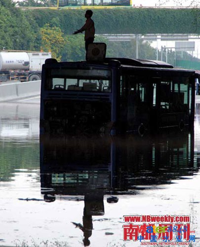 廣州“水戰(zhàn)”:鯉魚(yú)在高樓間水中暢游