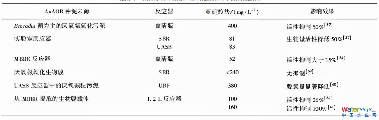 水務(wù)看點 | 王胤:主流厭氧氨氧化工藝的研究與應用進展