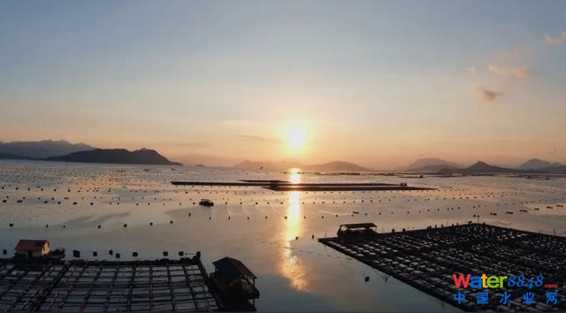 廣西衛(wèi)視對話中國工程院院士高從堦:廣西海洋經(jīng)濟(jì)大有可為